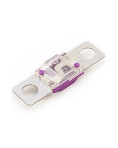 AMI Series 200A Purple
